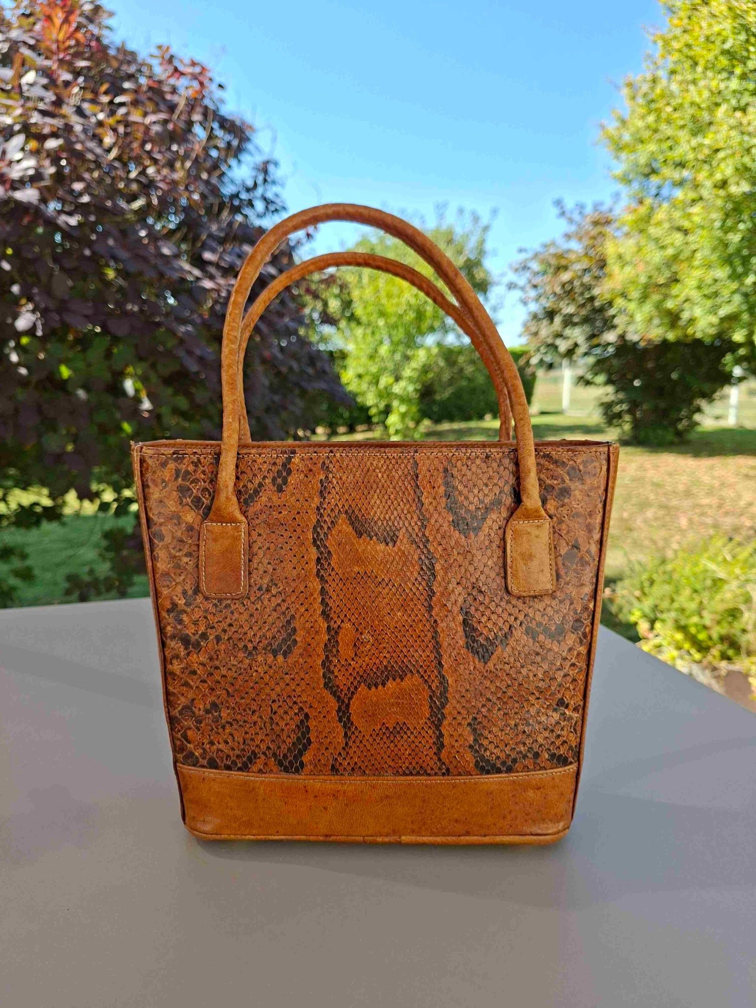 Exotic leather bag