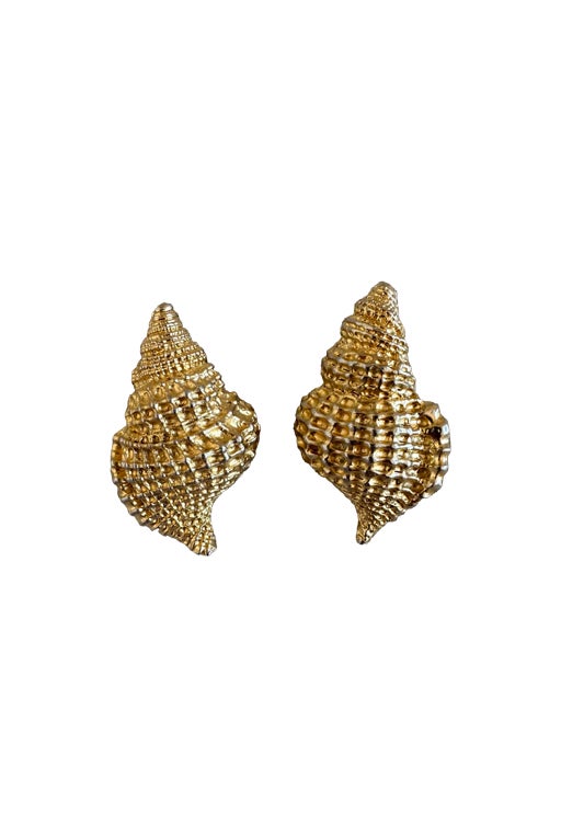 Clip-on seashell earrings