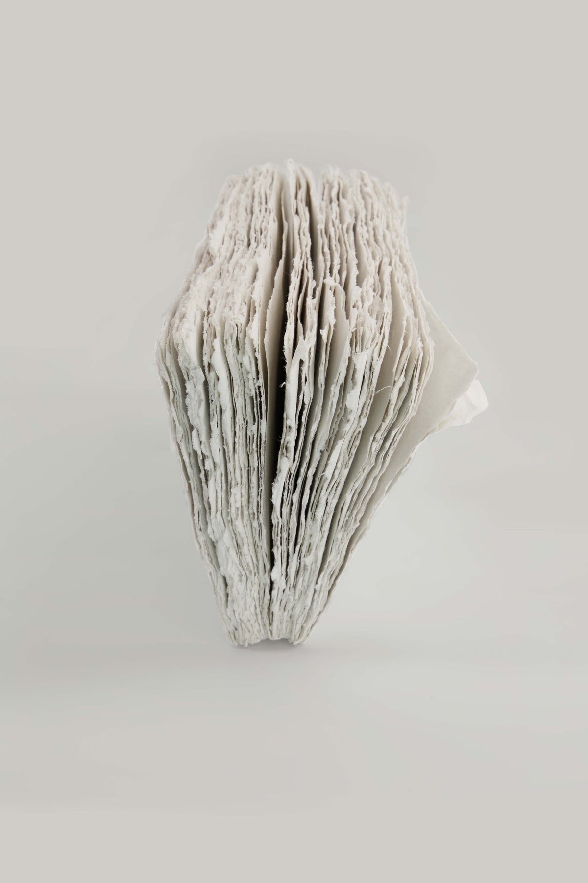 Cahier en papier éléphant 13