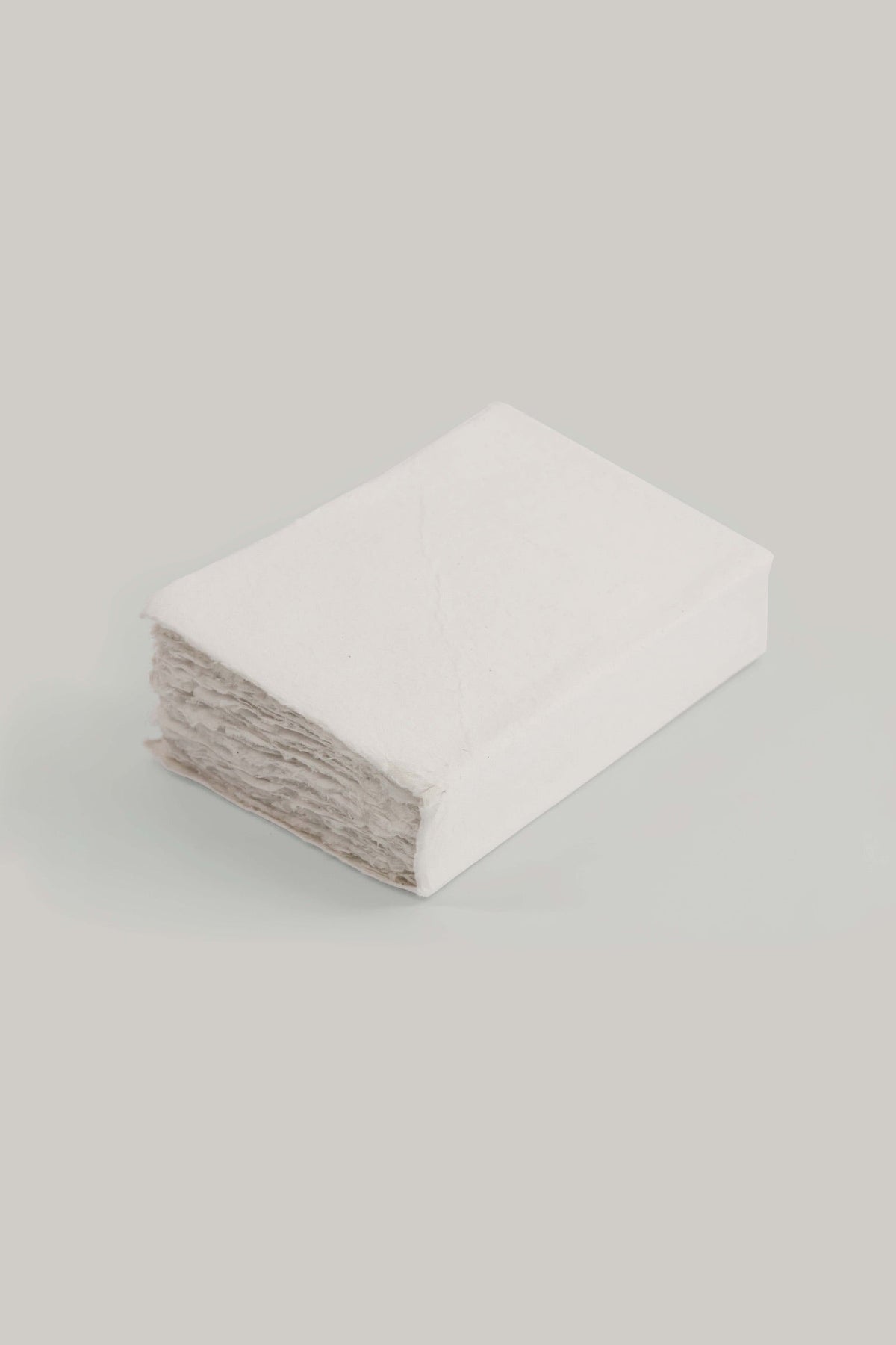 Cahier en papier éléphant.