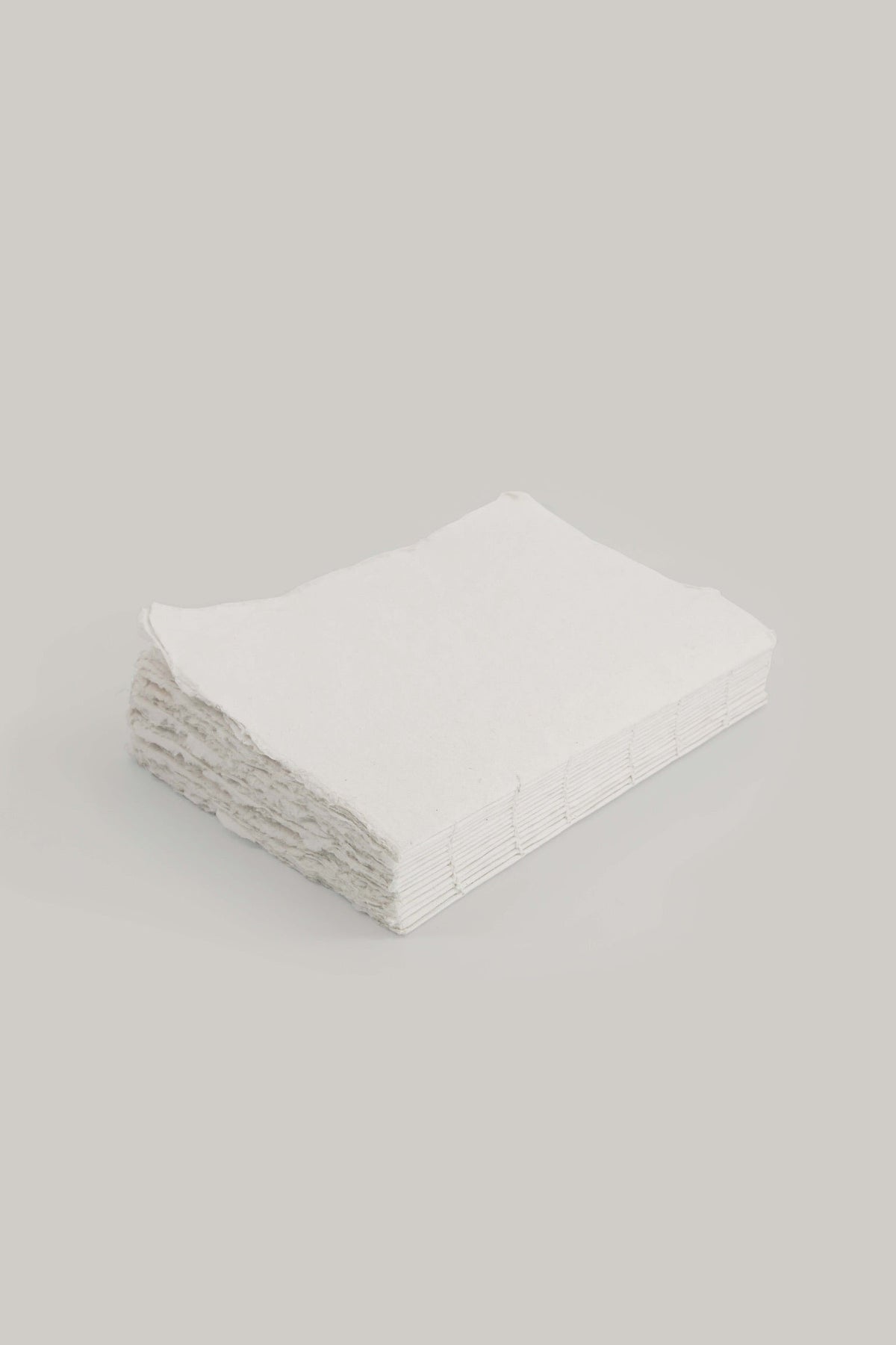 Cahier en papier éléphant 11