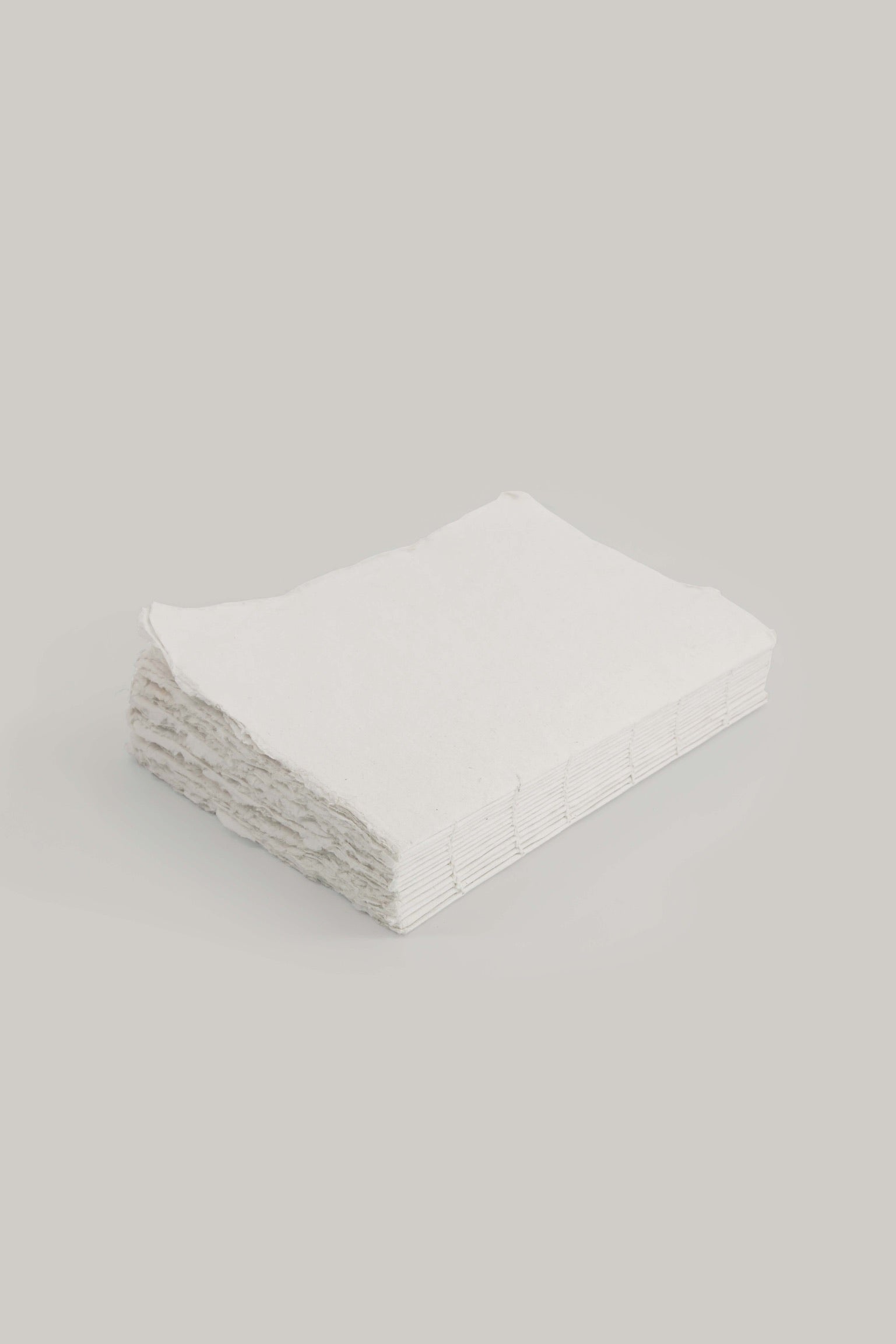 Cahier en papier éléphant 11