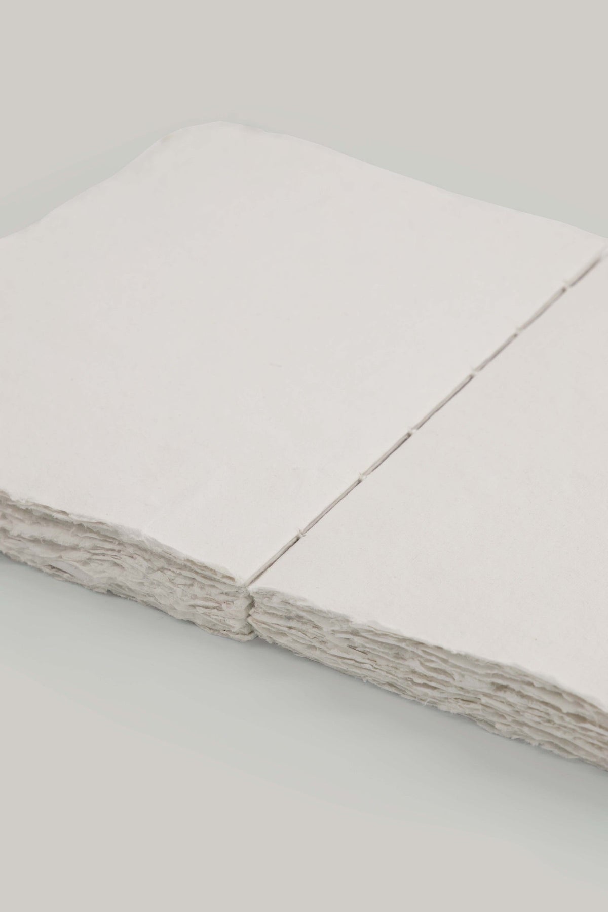 Cahier en papier éléphant 19