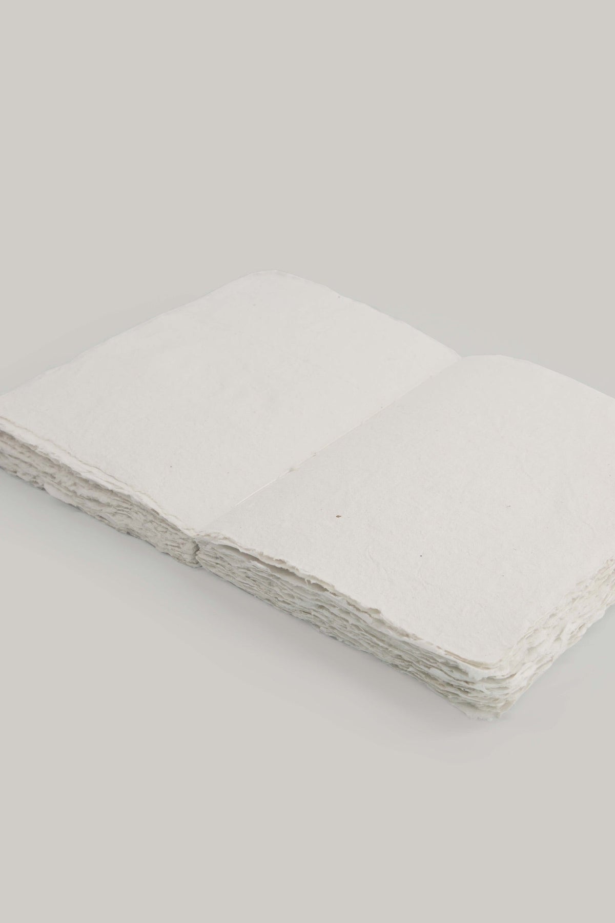 Cahier en papier éléphant 12