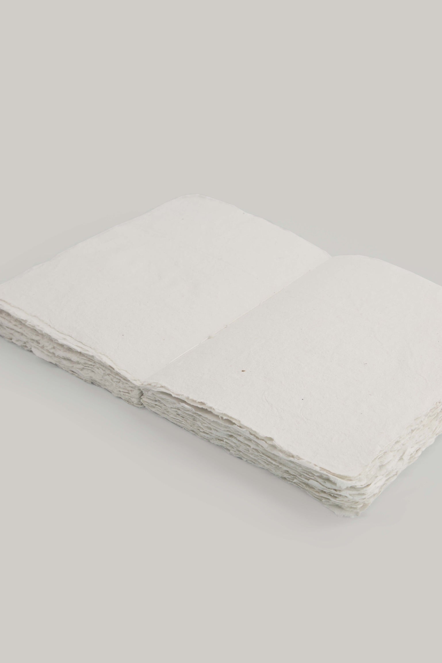 Cahier en papier éléphant 12