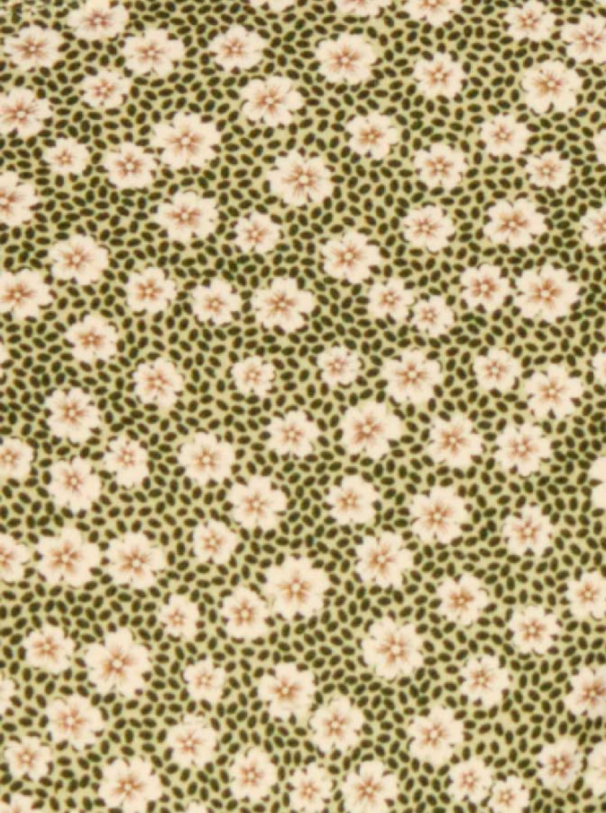 Culotte Très Échancrée Swim Blooming Green Fleurie