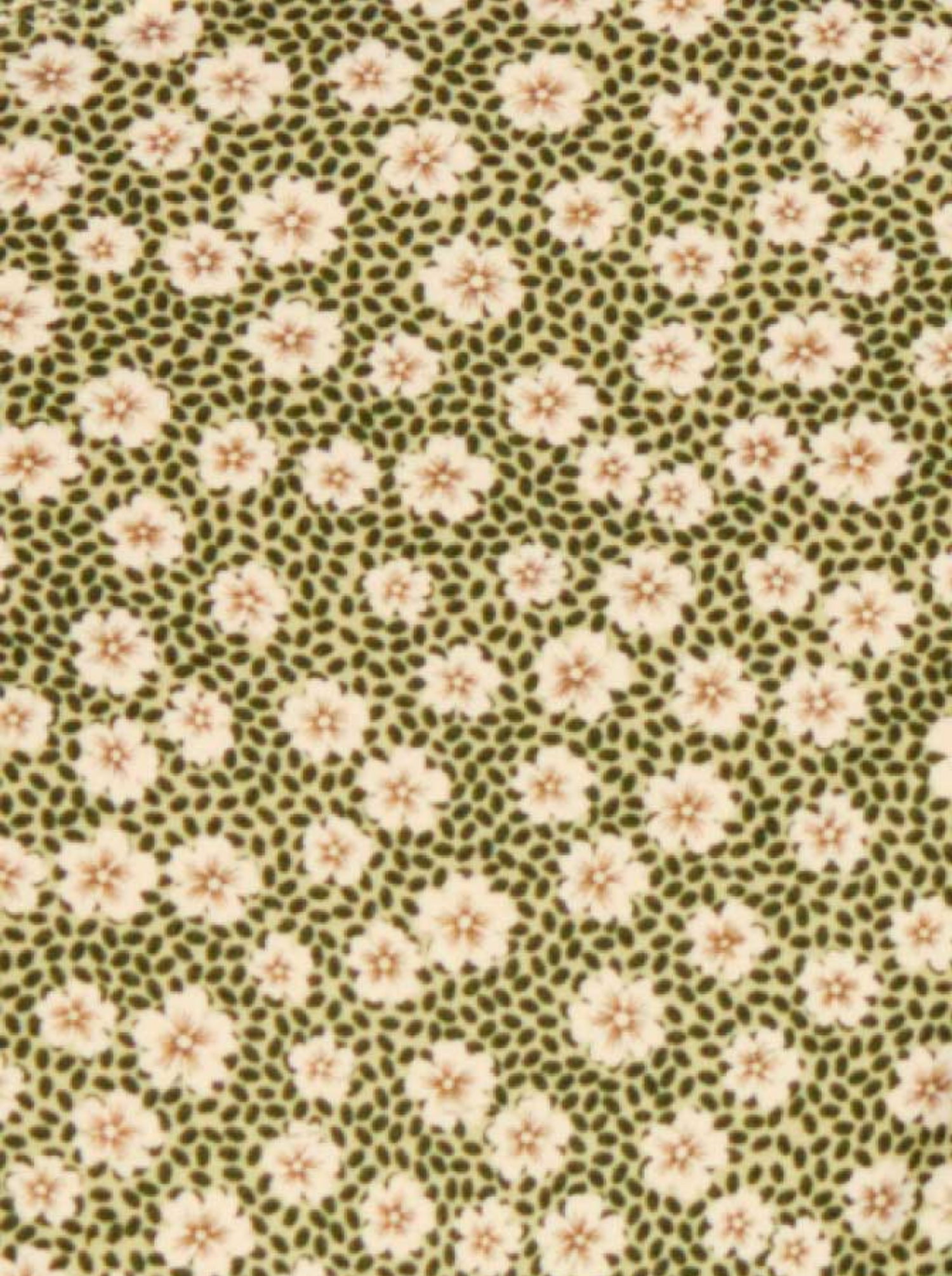 Culotte Très Échancrée Swim Blooming Green Fleurie