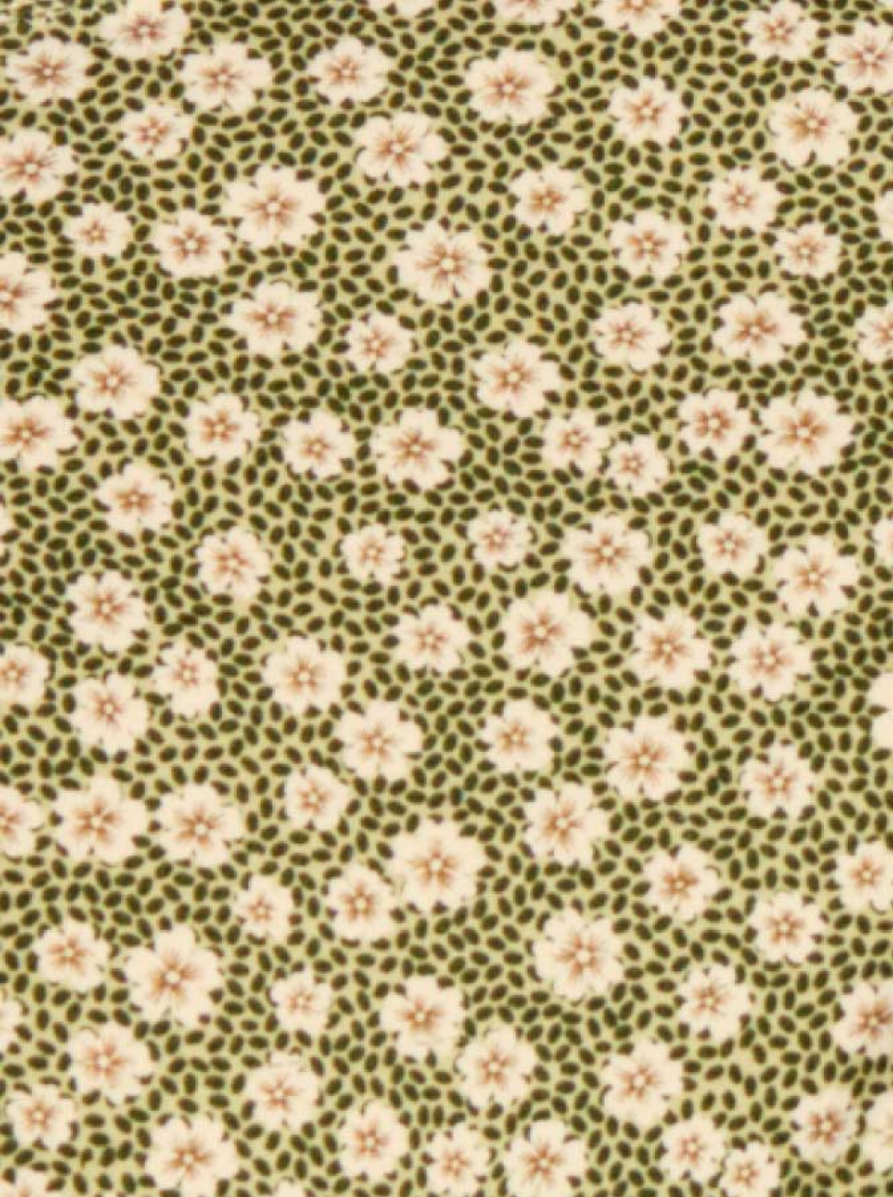 Culotte Très Échancrée Swim Blooming Green Fleurie