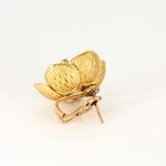 Parure florale - Broche et boucles d'oreilles or jaune, diamants