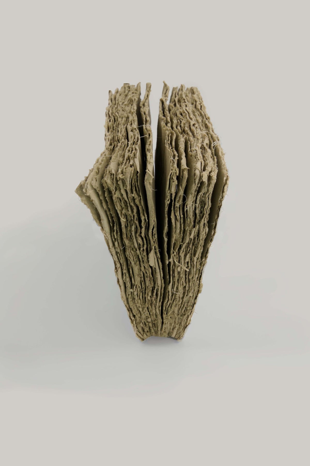 Cahier en papier éléphant 17