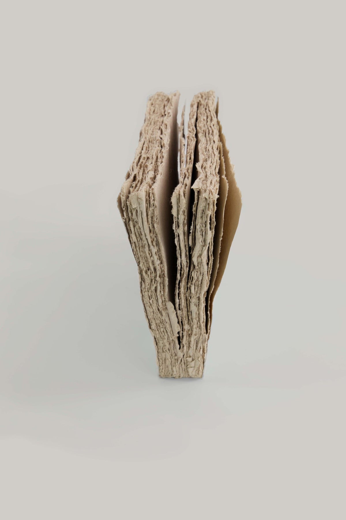 Cahier en papier éléphant     10