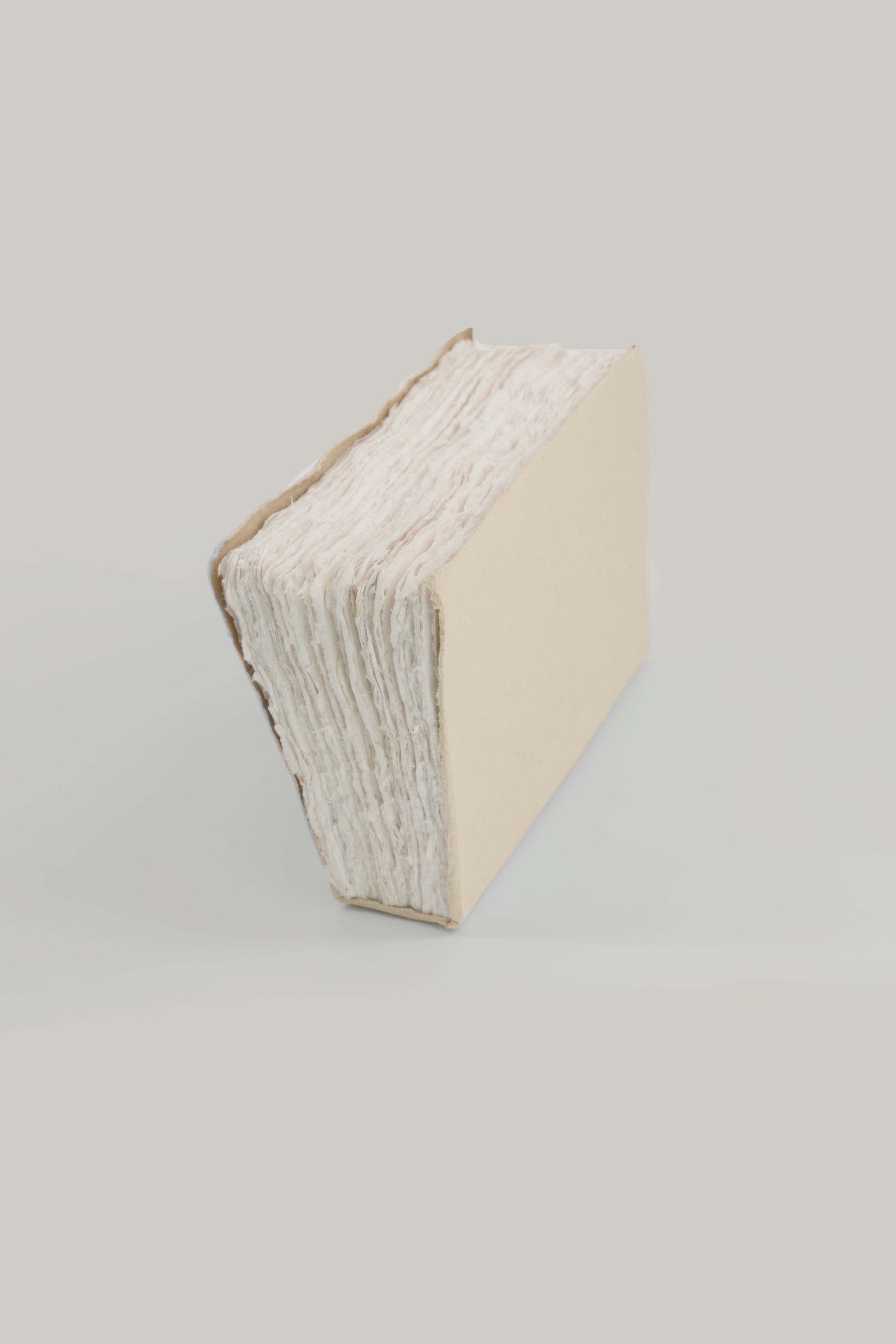 Cahier en papier éléphant 5