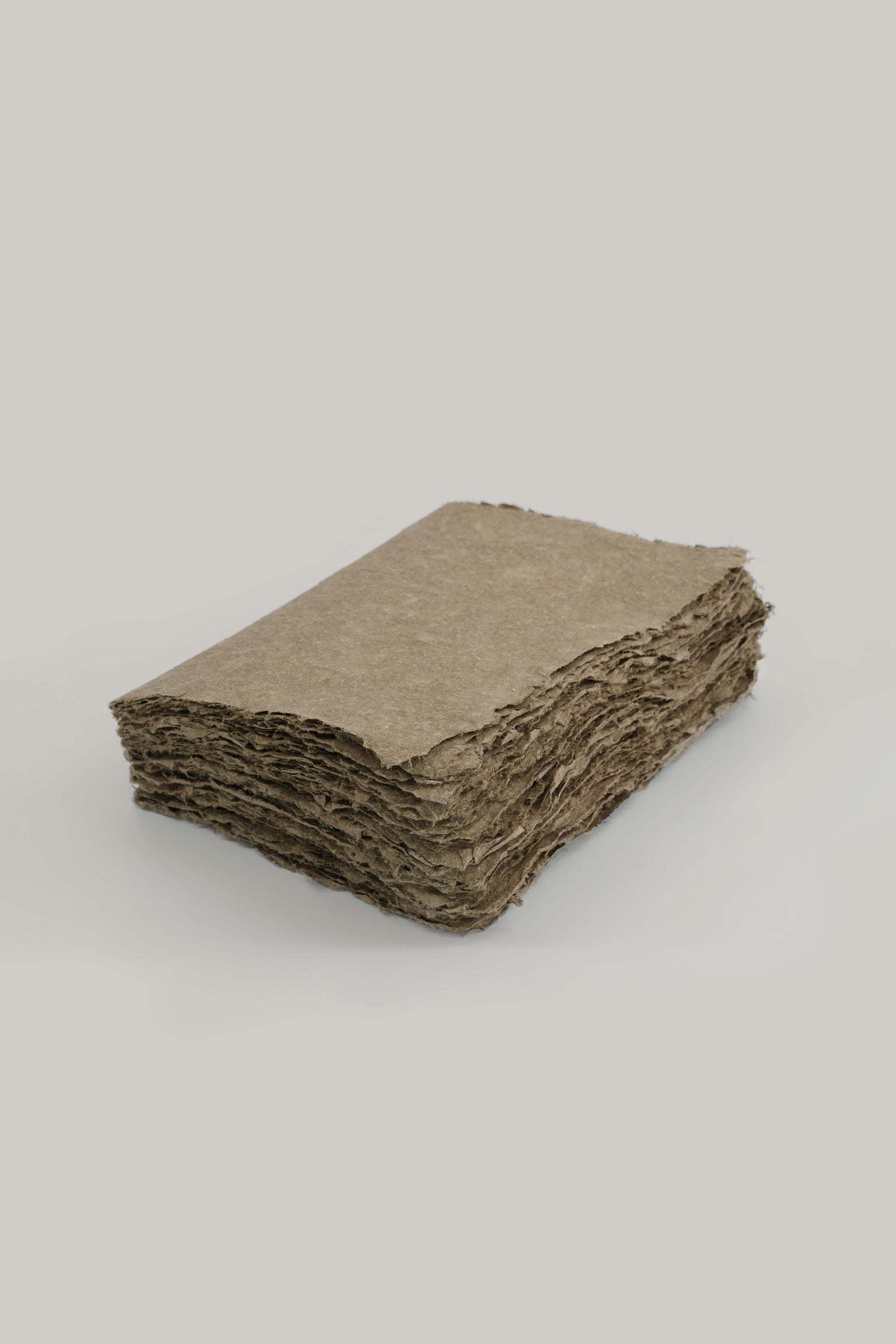 Cahier en papier éléphant 22