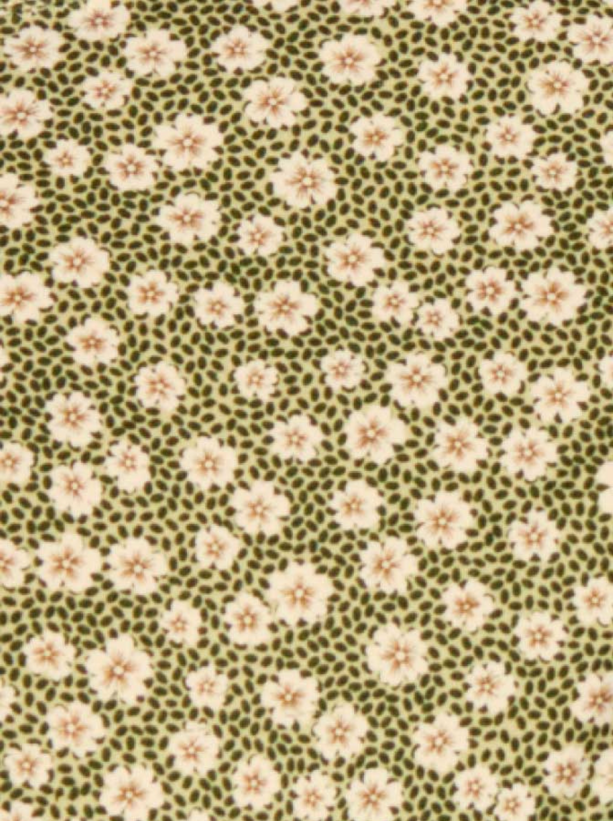 Tanga Noué Swim Blooming Green Vert