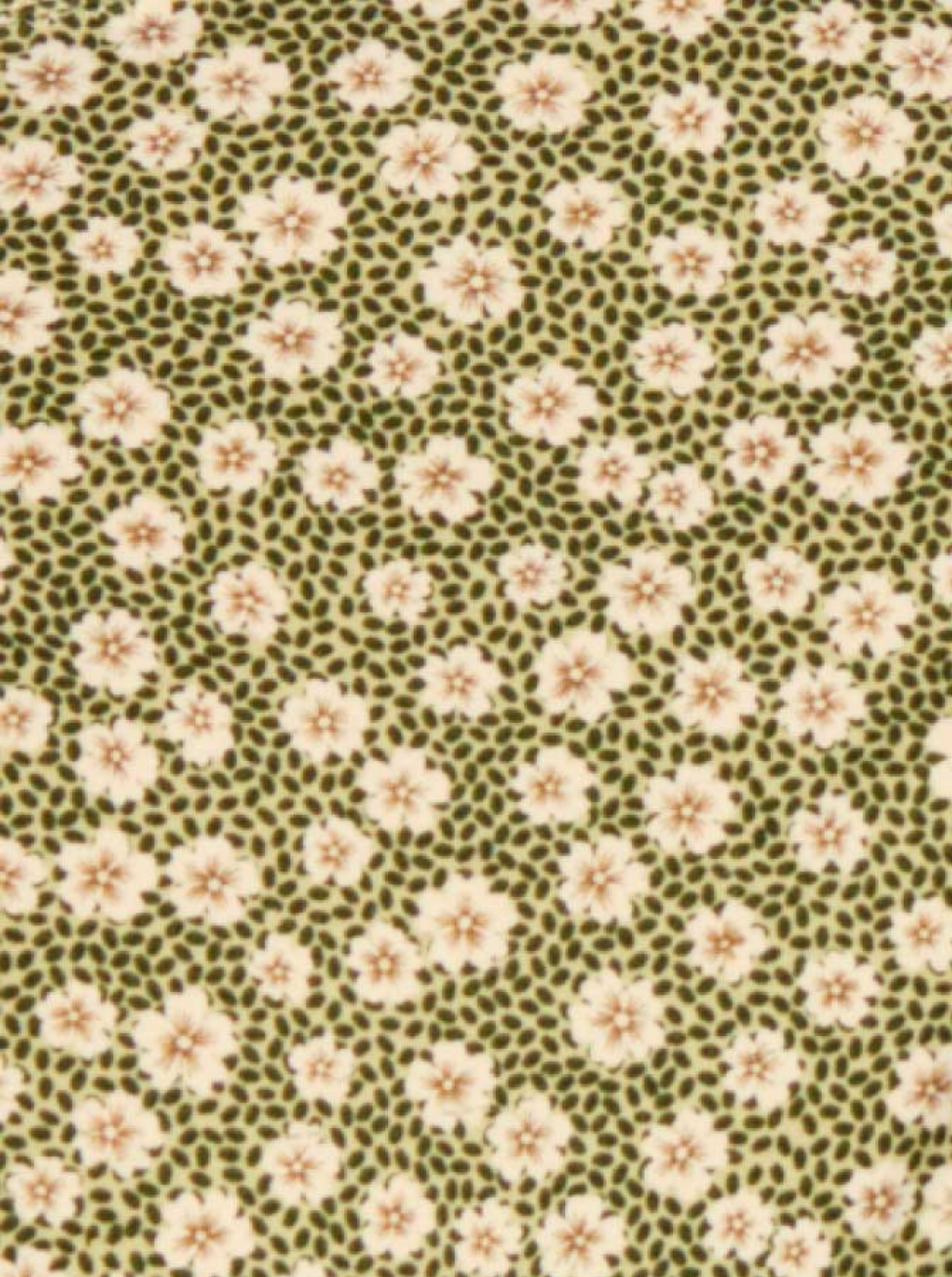 Tanga Noué Swim Blooming Green Vert