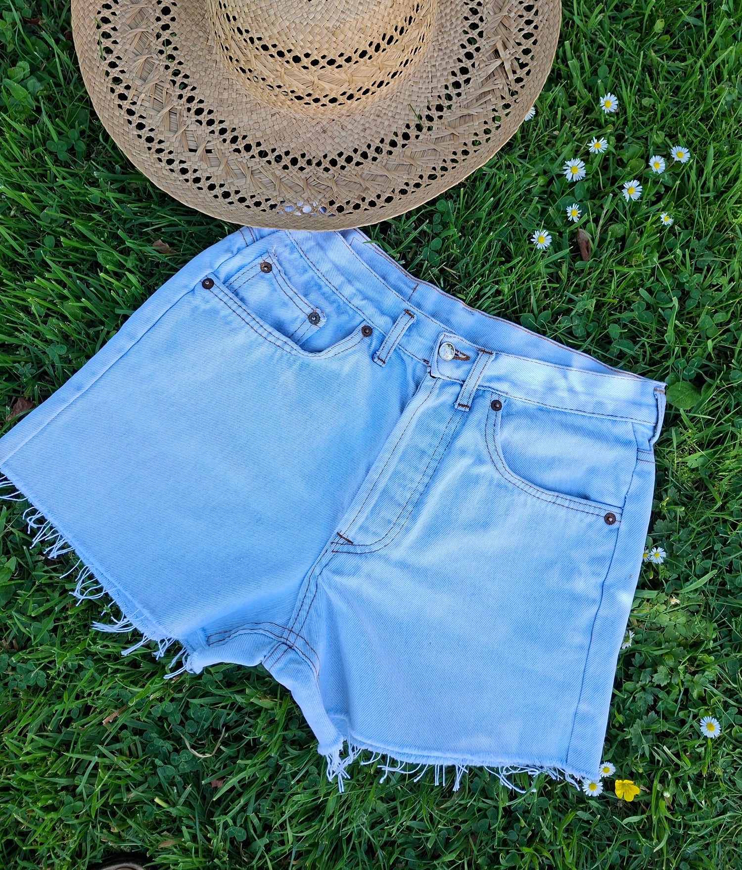 Short Levi's 501 W32