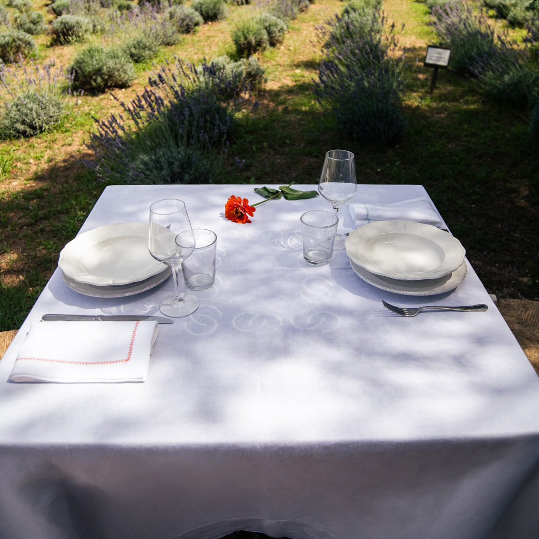 TOVAGLIA LUCI D’ARTISTA