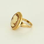 Bague or jaune camée coquillage
