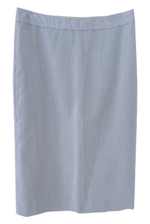 Straight skirt with small blue stripes, &quot;