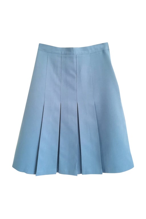 Pleated skirt