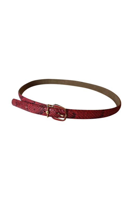 Exotic leather belt