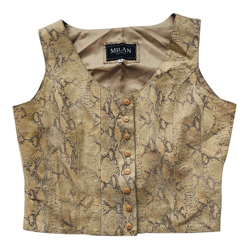Gilet python