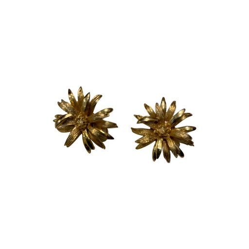 Clip-on earrings