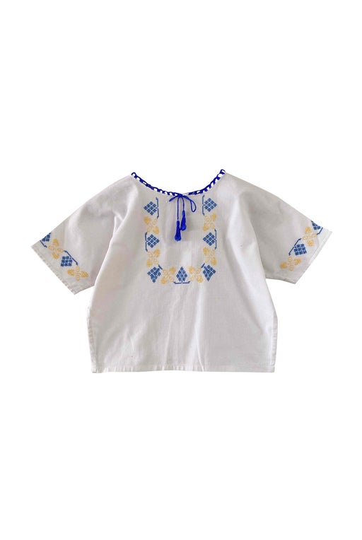 70's Embroidered Crop Top