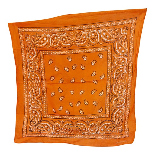 Bandana paisley