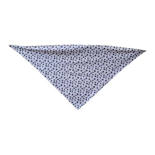 Cacharel scarf
