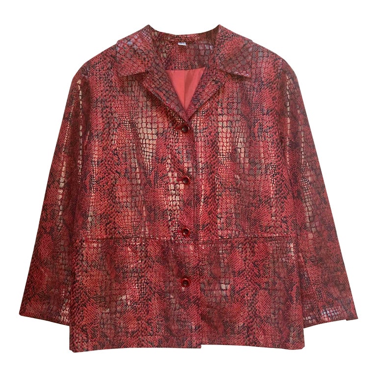 Veste python