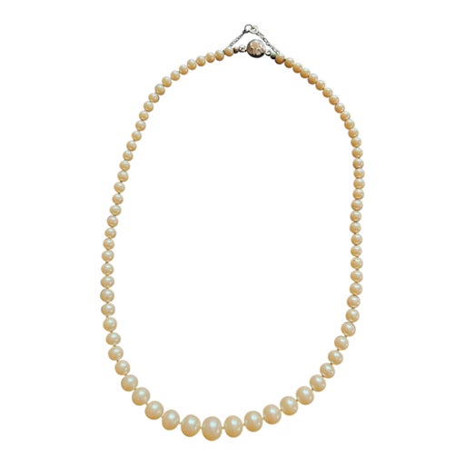 Pearl necklace