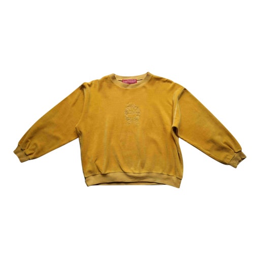 Velvet sweatshirt