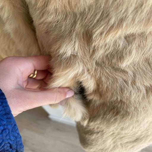Short fur coat