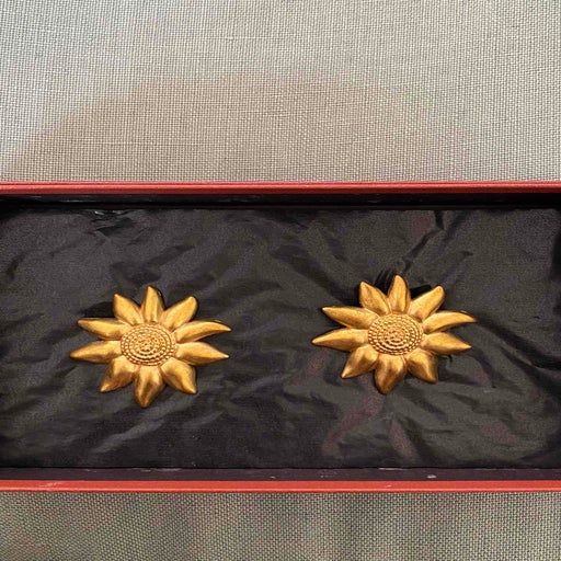 Brass earrings