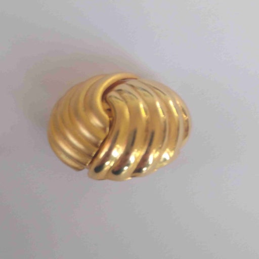 golden earrings