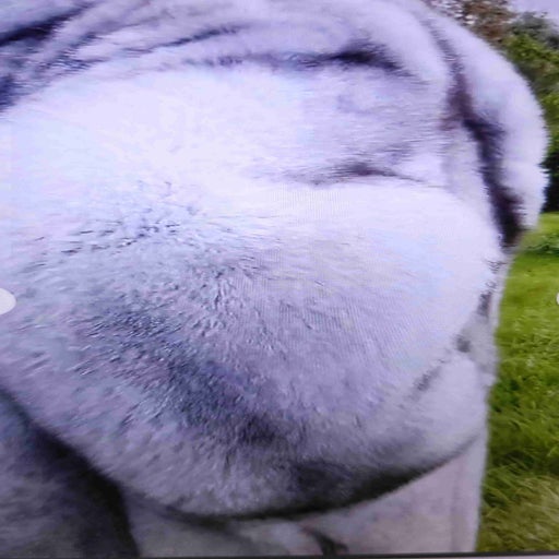 Fur coat