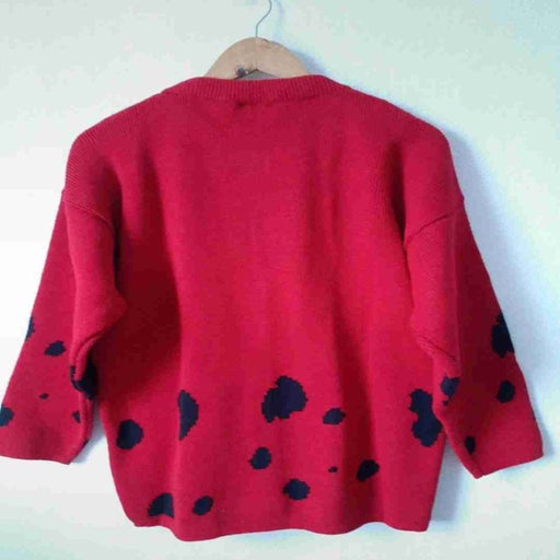 Dalmatian cardigan