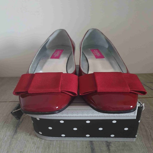 Carel pumps