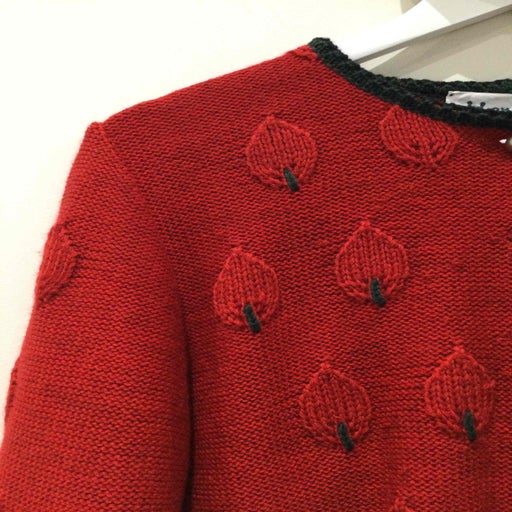 Austrian cardigan