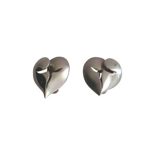 Silver metal earrings