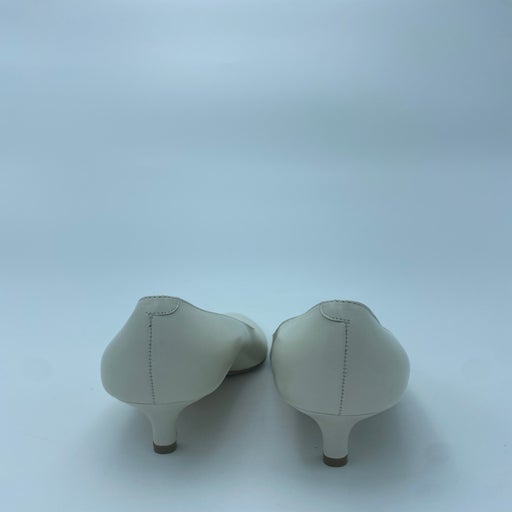 Carel pumps