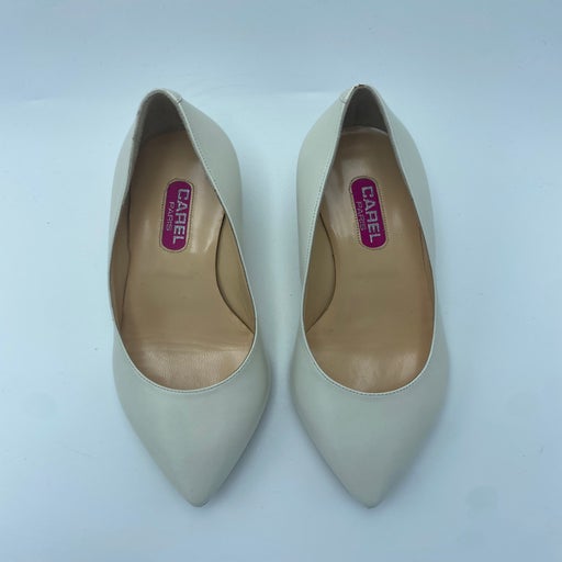 Carel pumps