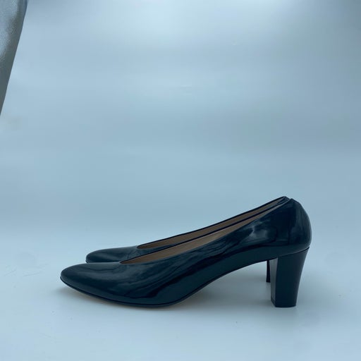 Carel pumps