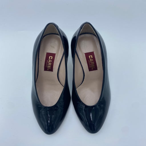 Carel pumps