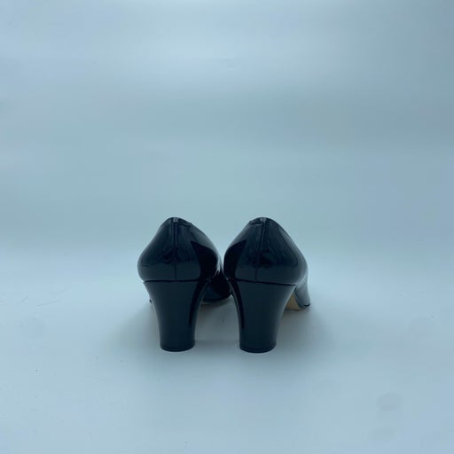 Carel pumps
