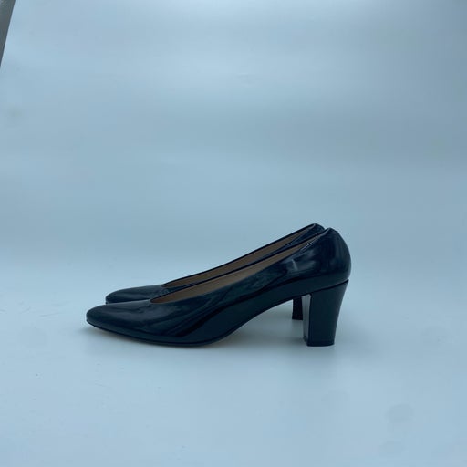 Carel pumps