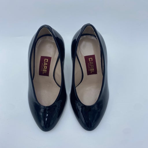 Carel pumps