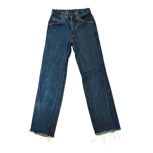Jean Levi's 630 W27L34