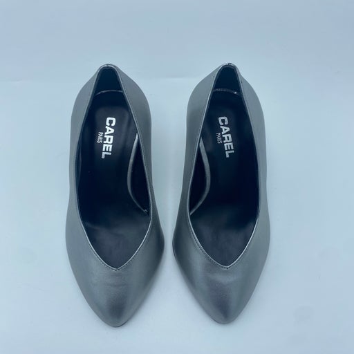 Carel pumps